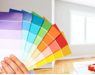 Color Consultation