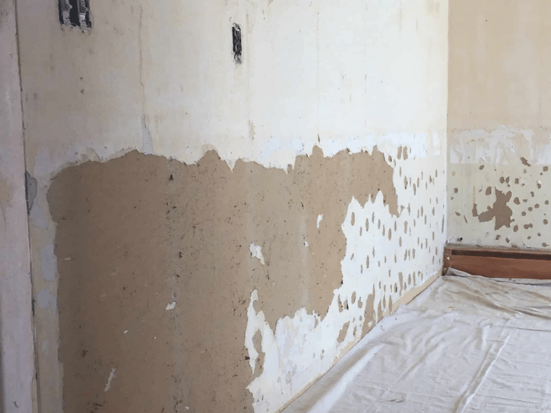 MR Paint technician removing wallpaper with professional tools